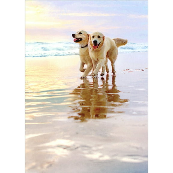 Avanti Press Golden Retriever Dogs Walking on Beach Anniversary Card
