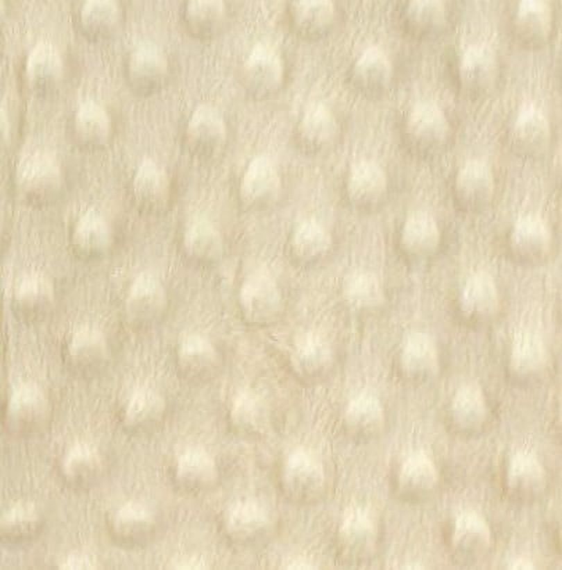 Hudson Baby Infant Plush Sleeping Bag, Sack, Blanket, Cream Dot Mink, 6-12 Months
