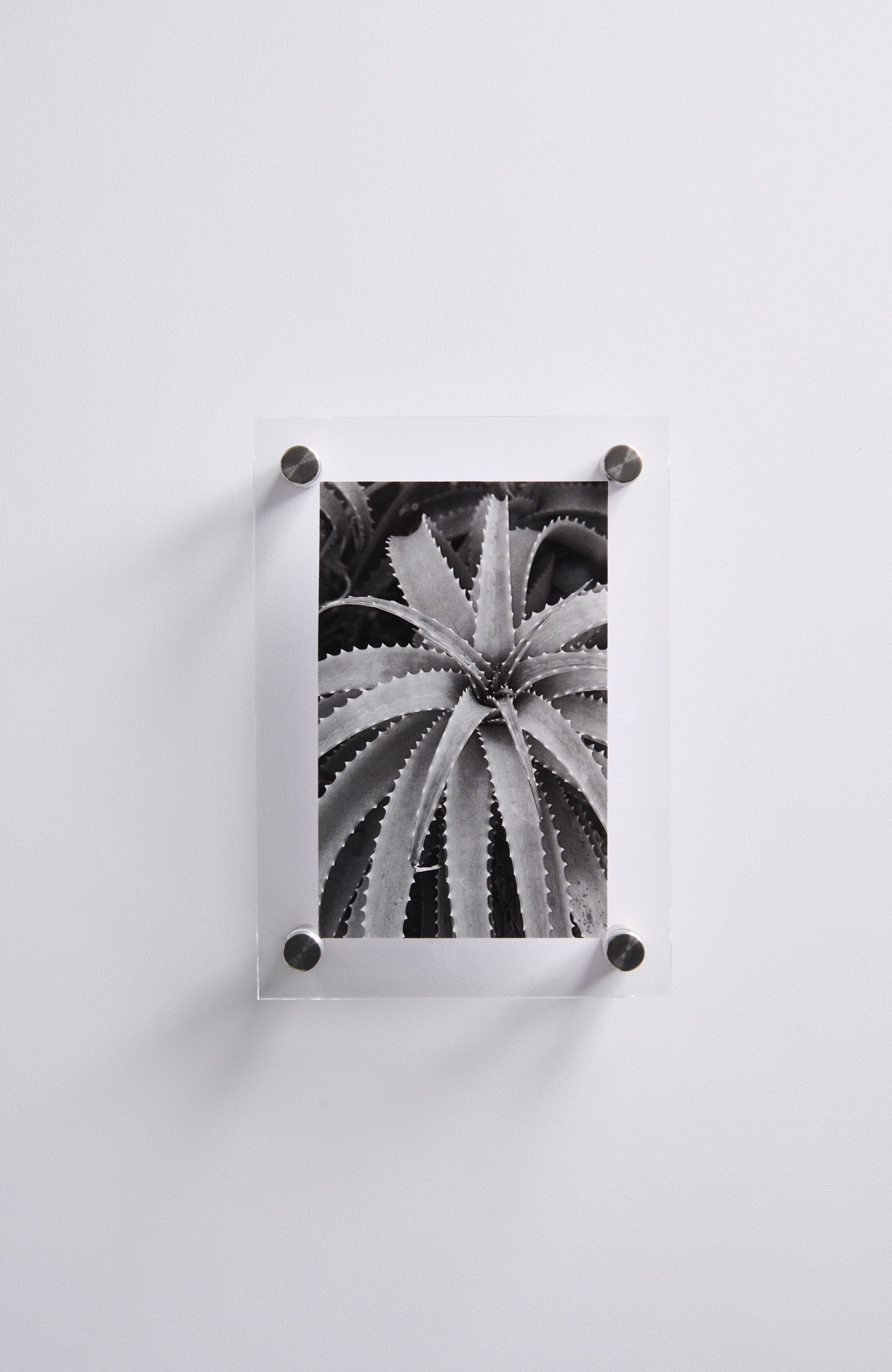 Better Homes & Gardens Silver 3.5x5 Floating Acrylic Frame with Silver Wall mount Hardware
