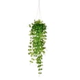 thumbnail image 1 of Vickerman Porte-Feuilles Mini de 29 Pouces dans un Pot - FJ190929, 1 of 2