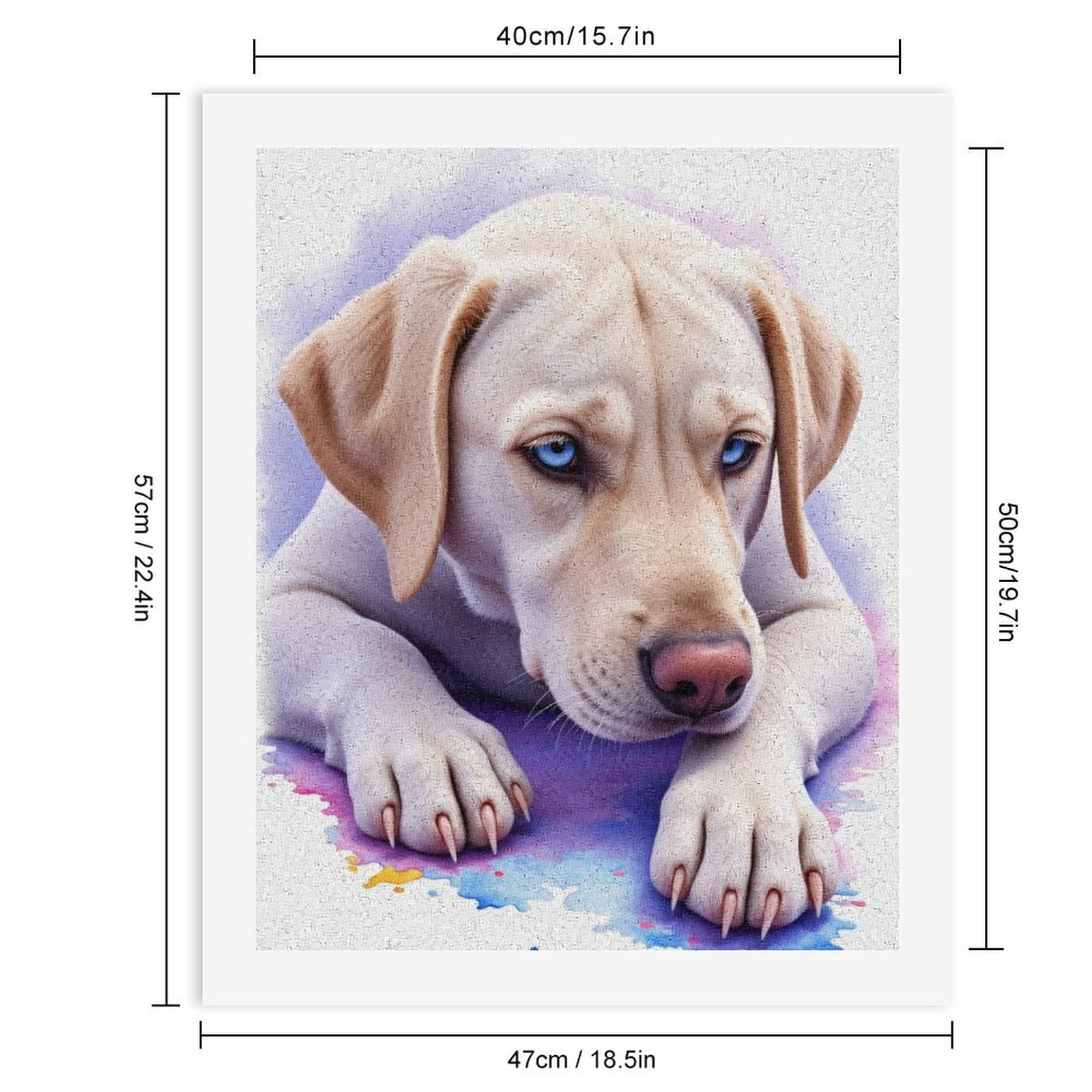 Paint By Numbers Kit for Adults Beginner - Blue Eyed Dog Art Watercolor Painting DIY Canvas Painting Kits for Adults, Frameless Paint By Number for Adults for Home Wall Decor 16x20 Inch