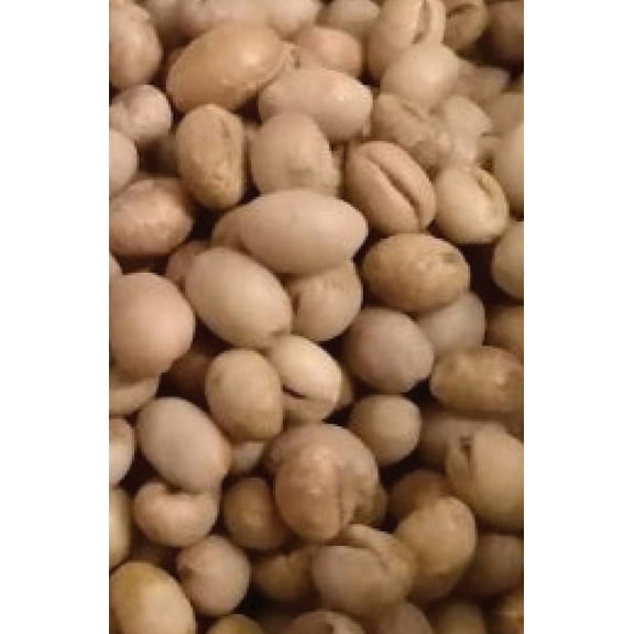 Stem 2: Pencil It! By Jason Changkyu Kim, (Paperback)