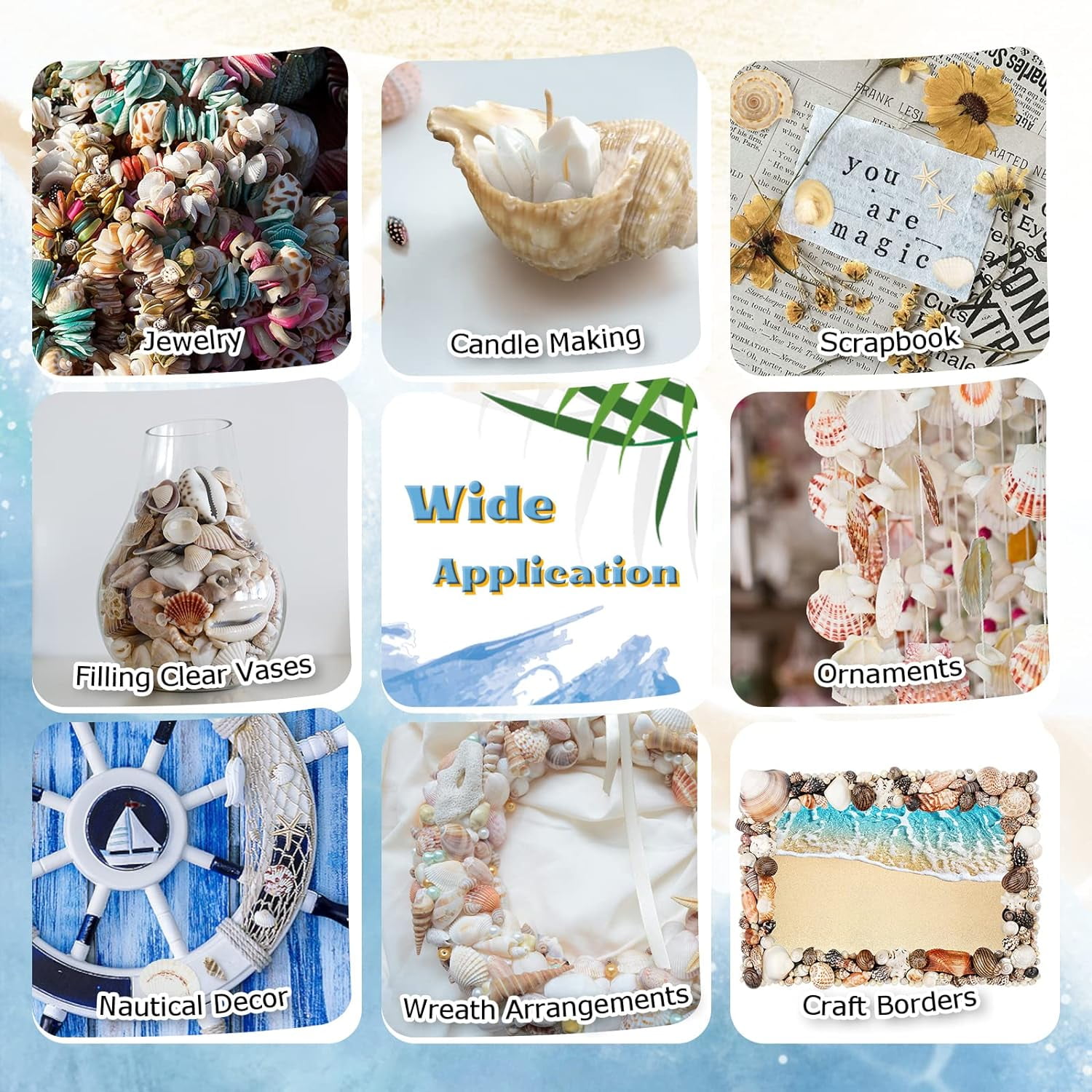 Mixed Seashells Assorted Rare Colorful Natural Mix Sea Shells Beach Home Decor Tropical Art Craft Fish Tank Aquarium Ocean House Decoration