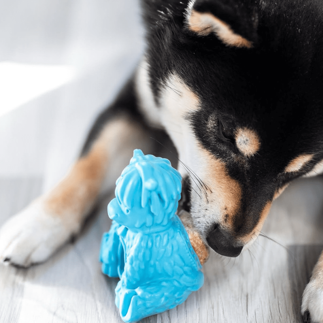 Yeti Dog Chew Puff and Play Interactive Treat Dispensing Dog Toy, Yak, Blue