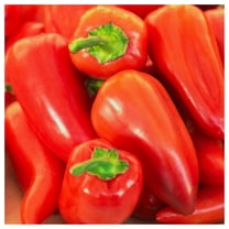 - 1/4 lb Organic Pimento Sweet Pepper Seeds - Gold Vault Bulk Seed Packet