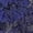 Navy, variant on Jamicy Comfy Underwear for Women Plus Size Floral Lace Briefs Mid Rise Panties Ladies Breathable Seamless Underwear