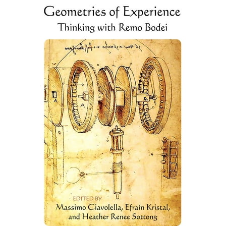 Suny Contemporary Italian Philosophy Geometries of Experience: Thinking with Remo Bodei, (Hardcover)