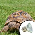 thumbnail image 3 of UVA UVB 3.0 Halogen Heating Lamp Full Spectrum Reptilian Lamp Lizard Lamp, 3 of 8