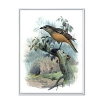 Designart 'The Paradise Birds on a Tree Branch' Traditional Framed Canvas Wall Art Print