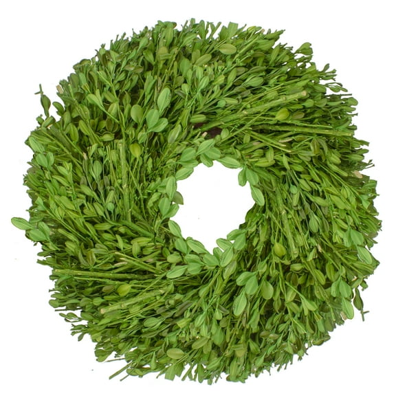 Green Foliage Artificial Spring Wreath 10-Inch