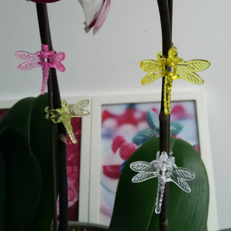 Dragonfly Clips Craft