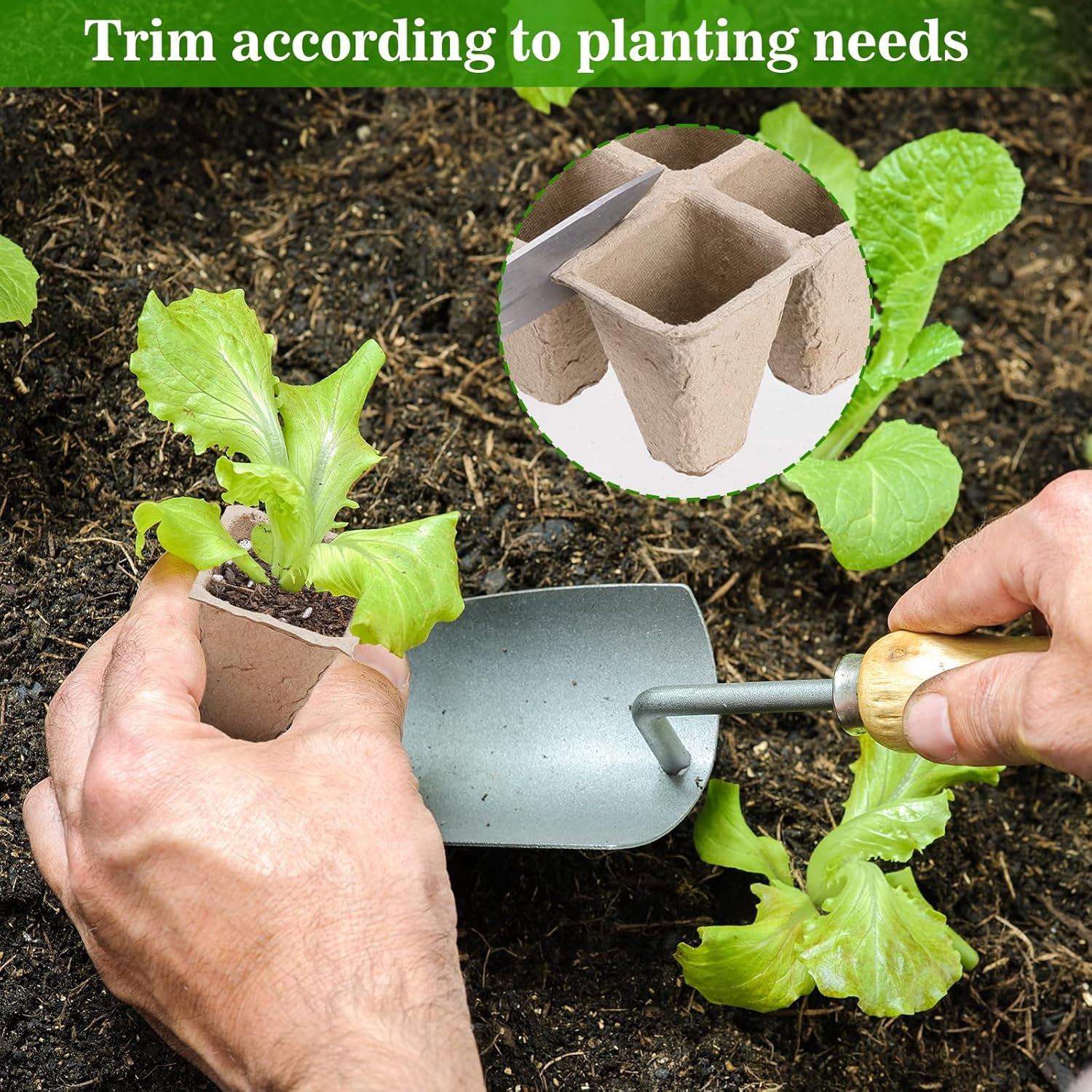 15 Packs Seedling Starter Trays 180 Cells, Biodegradable Seed Germination Trays Plant Starter Peat Pots for Seedlings