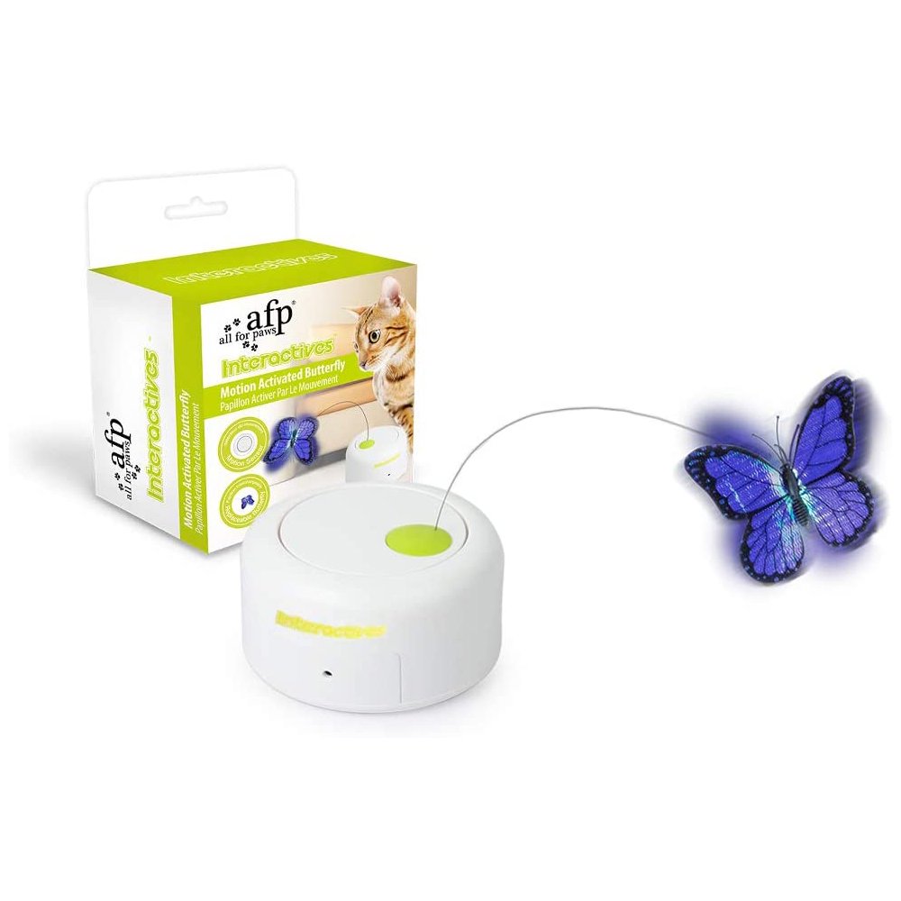 interactive butterfly cat toy