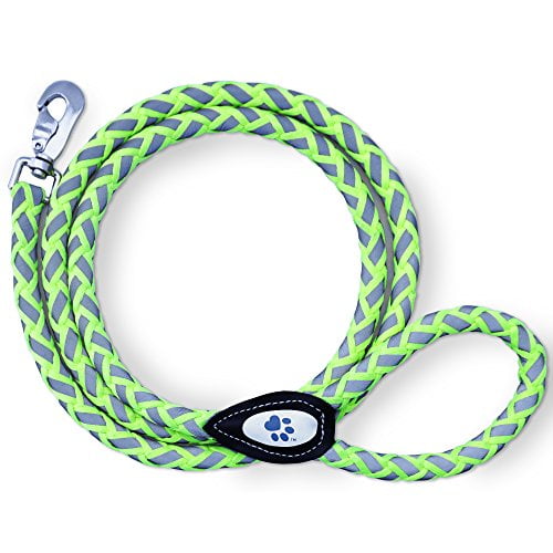 best 4 foot dog leash