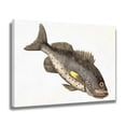 thumbnail image 2 of Póster de lienzo con pintura de peces, decoración de dormitorio, paisaje deportivo, decoración de oficina, regalo, estilo marco, 20 x 30 cm, 2 of 8