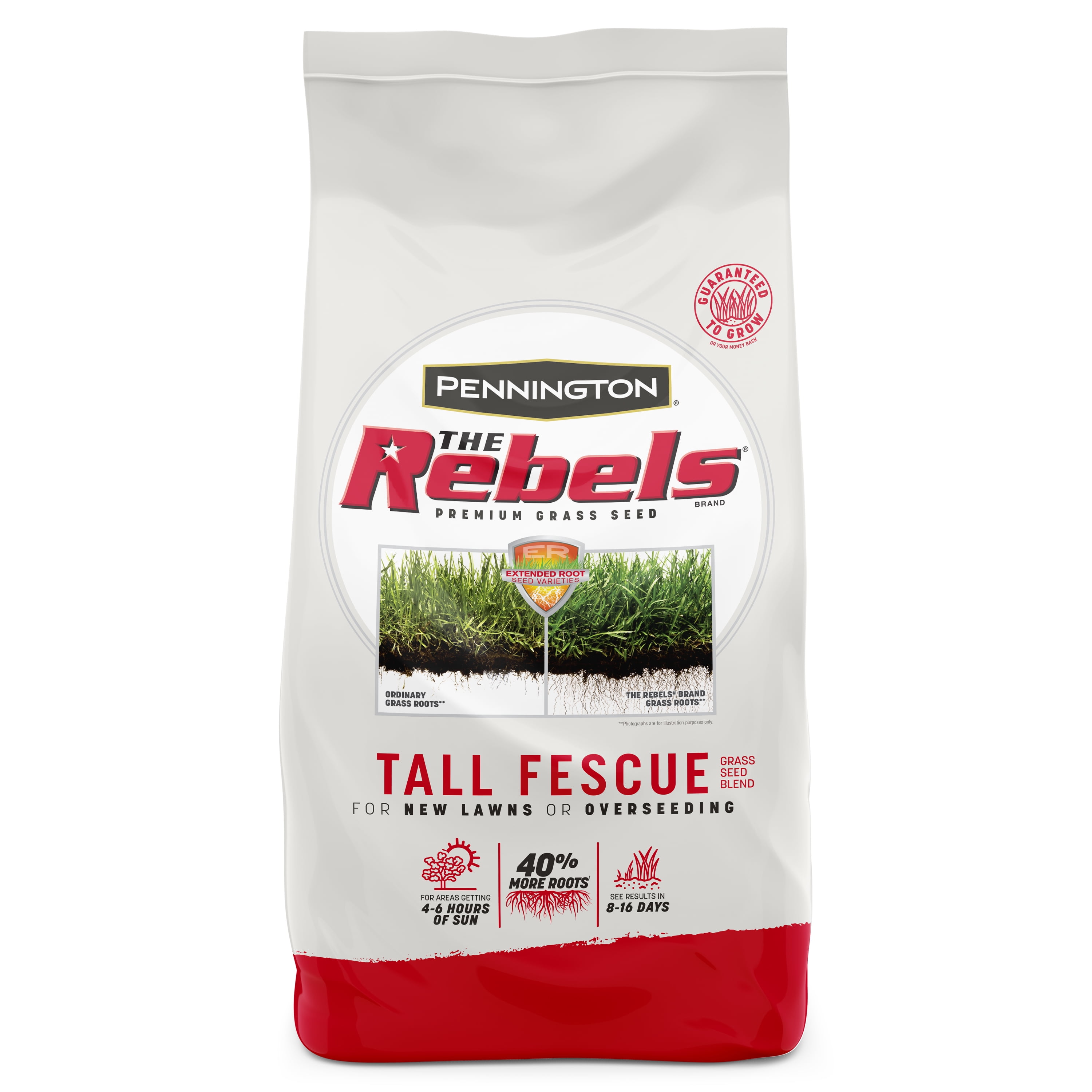 Pennington Rebels Tall Fescue Grass Seed, for Sun to Medium Shade; 7 lb