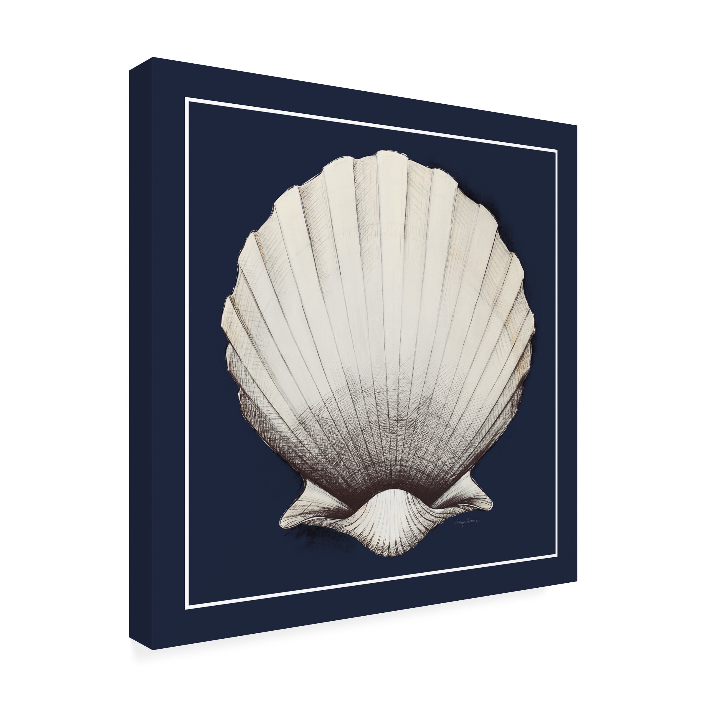 Avery Tillmon 'Coastal Shell II with Border Navy' Canvas Art