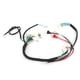 thumbnail image 4 of Arnés De Cableado De Cable Telar De Arranque De Motor Para 50cc 110cc 125cc PIT Quad Dirt Bike ATV Enchufe De La UE ANGGREK Accesorios, 4 of 8