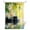Green Black, variant on Shower Curtains for Bathroom-36"x72",Plumeria Flower Stones Lake Zen Meditation Waterproof Bath Curtain Grommet Shower Curtain Set with Hooks