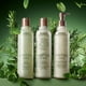 thumbnail image 4 of Aveda Rosemary Mint Hand & Body Wash--250Ml/8.5Oz Aveda Aveda, 4 of 6