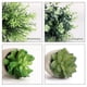 thumbnail image 3 of Plantas artificiales CEWOR, eucalipto y romero, suculentas, 4 unidades con macetas, 3 of 7