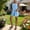 Light Blue, variant on RYDCOT Women's Faux Linen Short Overalls Solid Color Casual Summer Bib Shortalls with Pockets Purple