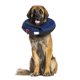 thumbnail image 1 of Calm Paws Behavior Support Collar inflable protector XLarge con disco calmante para perros, 1 of 1