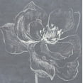 thumbnail image 2 of Loreth, Lanie 26x26 Black Ornate Wood Framed with Double Matting Museum Art Print Titled - Neutral Floral Drawing I, 2 of 4