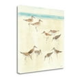 thumbnail image 2 of Tangletown Fine Art 'Sandpipers' Print on Wrapped Canvas, 2 of 2