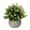 C, variant on Nnndbs 18cm Artificial Eucalyptus Milan Flower Potted Plant, Faux Greenery in Pot for Home Desk Table Office Farmhouse Wedding Centerpiece Decor