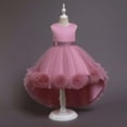 thumbnail image 1 of DPTALR Robe pour Enfants Fille Sans Manches Robe de Princesse Robe à Queue Fleur Jupe Jupe Robe en Tulle Canoniques, 1 of 5
