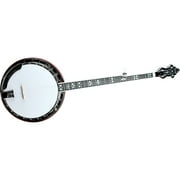 Recording King RK-R80 Professional Banjo Natural