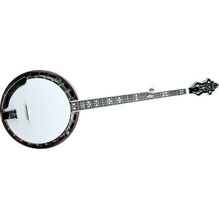 Recording King RK-R80 Professional Banjo Natural