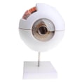 thumbnail image 2 of Modelo Globo ocur 3D CUTICAT 6 partes 3 veces agrandado, 2 of 8