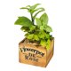 thumbnail image 1 of Maceta de madera cuadrada Laklulu, planta carnosa en maceta, decoración de plantas artificiales, flor bonsái, 1 of 5