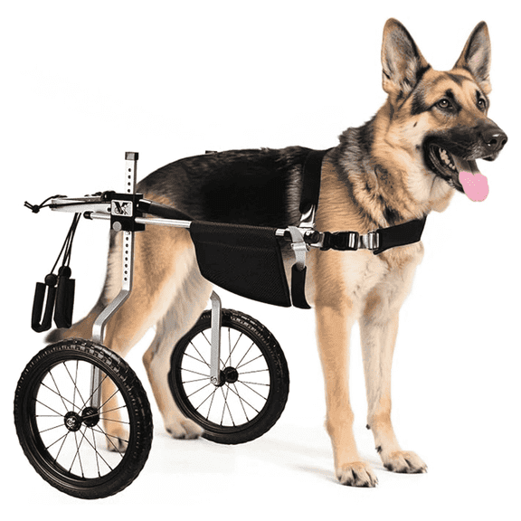Virbraroo Dog Wheelchair for Back Legs – Lightweight Adjustable Mobility Aid for Medium & Large Dogs - Ideal for IVDD, Arthritis & Injury Recovery