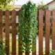 thumbnail image 5 of Artificial Hanging Plants for Wall Decor with Lifelike Silk Leaves, Indoor Outdoor Fake Begonia Ivy Greenery for Home Office Wedding Balcony Decoration, 37 Inch Long, Easy to Install, 5 of 6