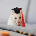 thumbnail image 4 of KAKOWELY Gorro De Graduación Negro Para Mascotas Pequeñas Con Estilo Único Y Cómodo Para Uso En Casa, 4 of 6