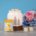 thumbnail image 4 of ScentSationals, Scented Wax Cubes, Happy Sunshine, 4 of 4