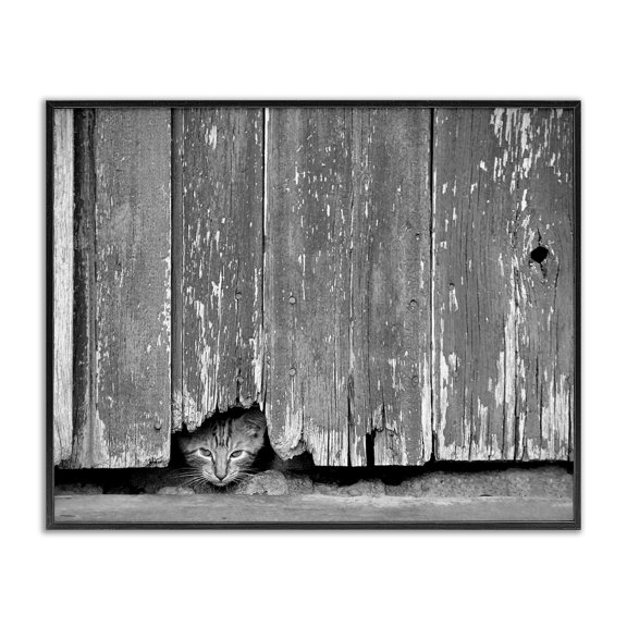 Stupell Industries Farmhouse Rustic Cat Peeking Black Framed Giclee Art, 14 x 11, by Steve Toole