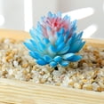 thumbnail image 2 of Mini Artificial Succulents Simulation Plant Bonsai for Desktop Home Garden Decor, 2 of 3
