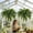 28-leaf, variant on Large Artificial Boston Fern for Outdoors - UV Resistant Fake Ferns for Porch & Hanging Baskets, 28/38/60/88 Fronds Lifelike Faux Boston Fern Bundles, No Fade Outdoor Plants, No Pot (2, 88-Leaf)