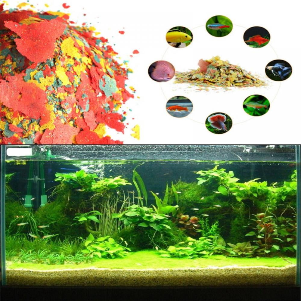 Buy LEMETOW 250ML Fish Food Highly Nutritious Fish Feed Color Enhancing ... - Goldfish Color Enhancing Minerals Aquarium