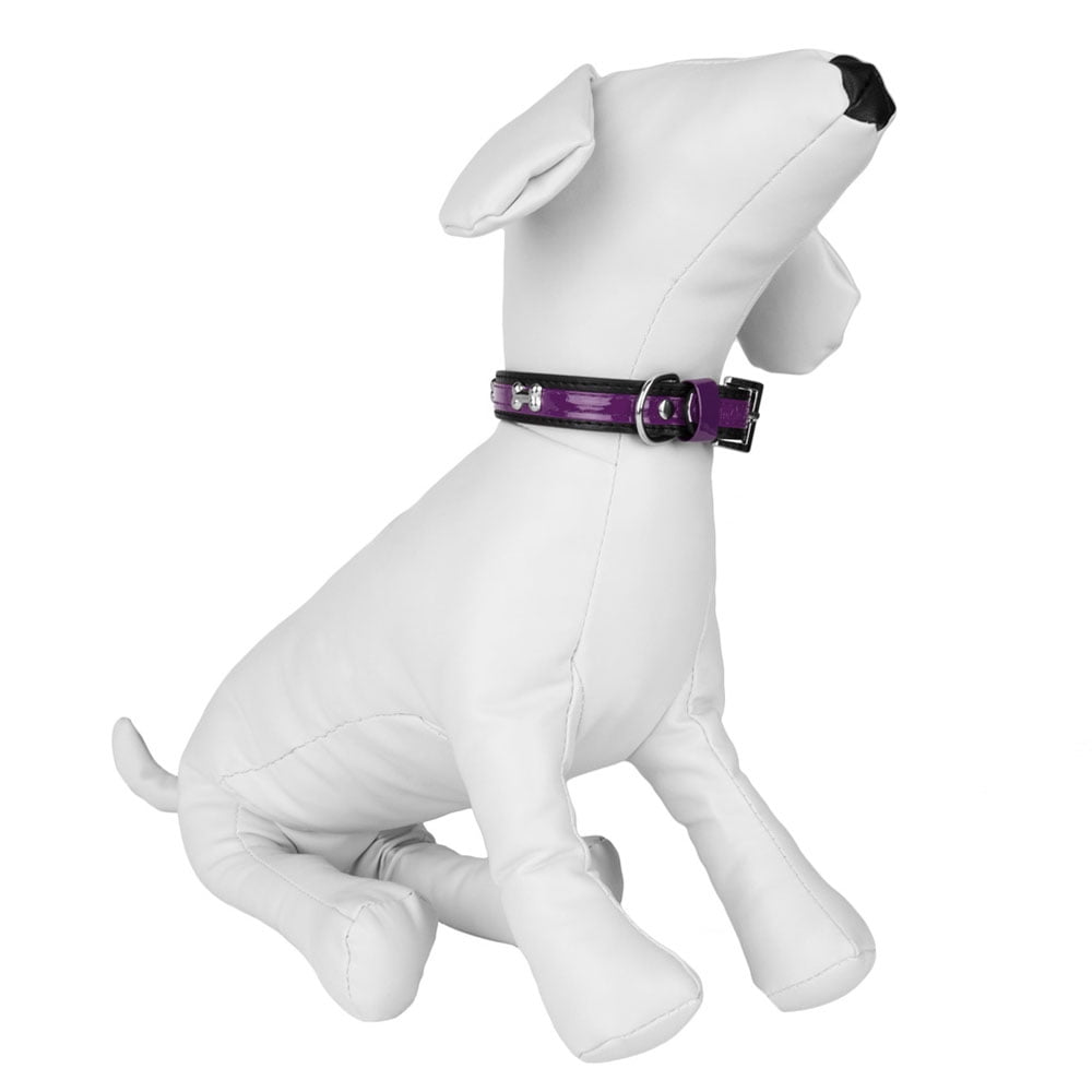 CueCue Pet Bone Fashion Dog Collar, Purple, M (2 Pack)