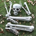 thumbnail image 5 of Halloween Skeleton Prop Human Full Size Skull Hand Garden Model Decor, 5 of 5