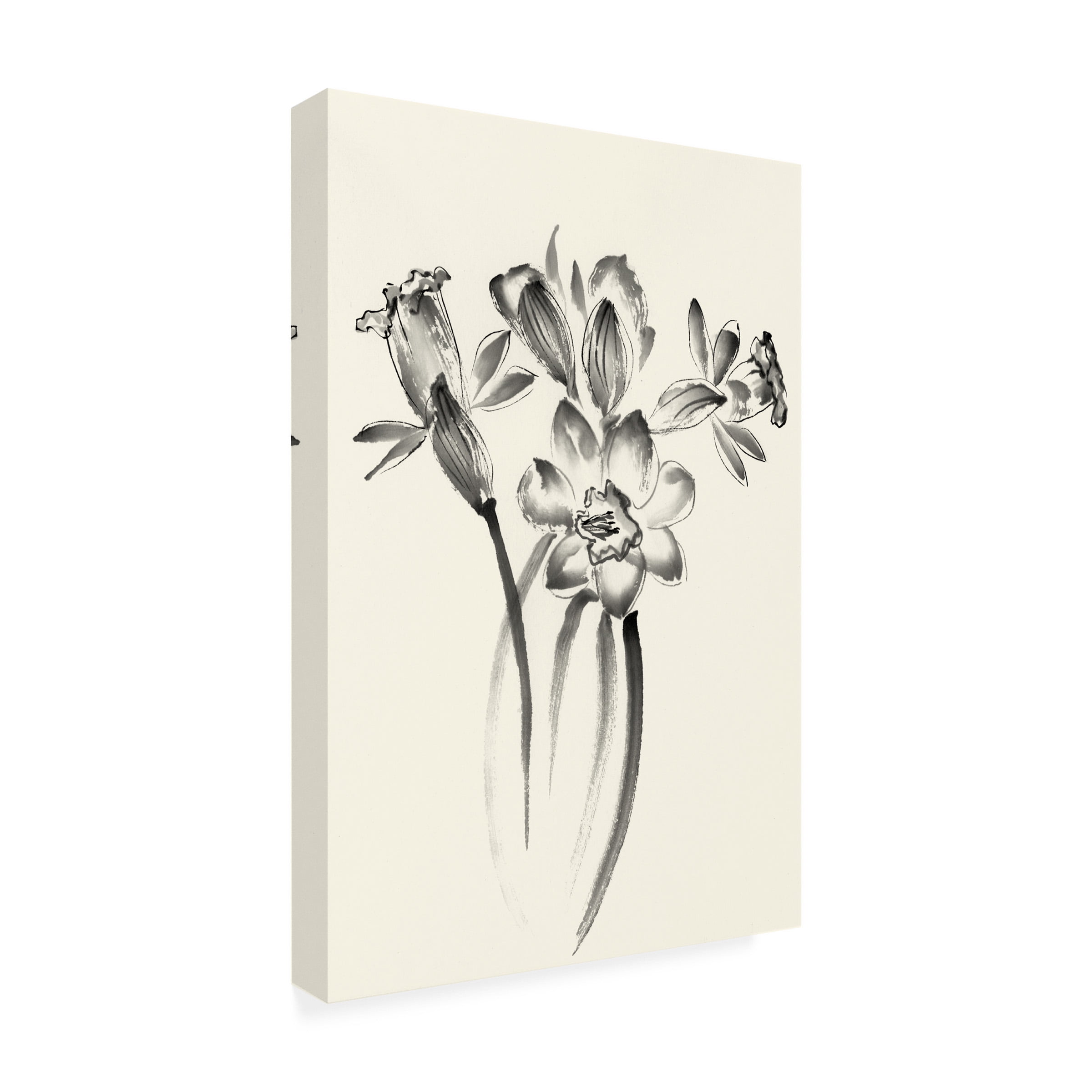 Nan Rae 'Ink Wash Floral I Daffodils' Canvas Art