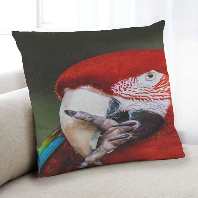Ahgly Company Animals Parrot Indoor Throw Pillow, 18 inch by 18 inch