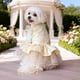 thumbnail image 4 of Conjunto de vestido de novia para perro primavera-verano • Ropa para mascotas pequeñas y medianas • Falda de gasa para fiestas • Beige rojo negro • Poliéster transpirable • 1 pieza • Espalda 12,6", 4 of 6