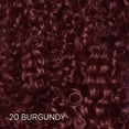 thumbnail image 4 of L'Oréal Paris Colorista Semi Permanente Hair Color, 4 of 7