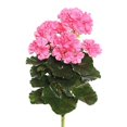 thumbnail image 1 of Vickerman 14.5" Buisson de Géranium Rose de Polyester avec 24 Feuilles et 76 Fleurs, 1 of 1